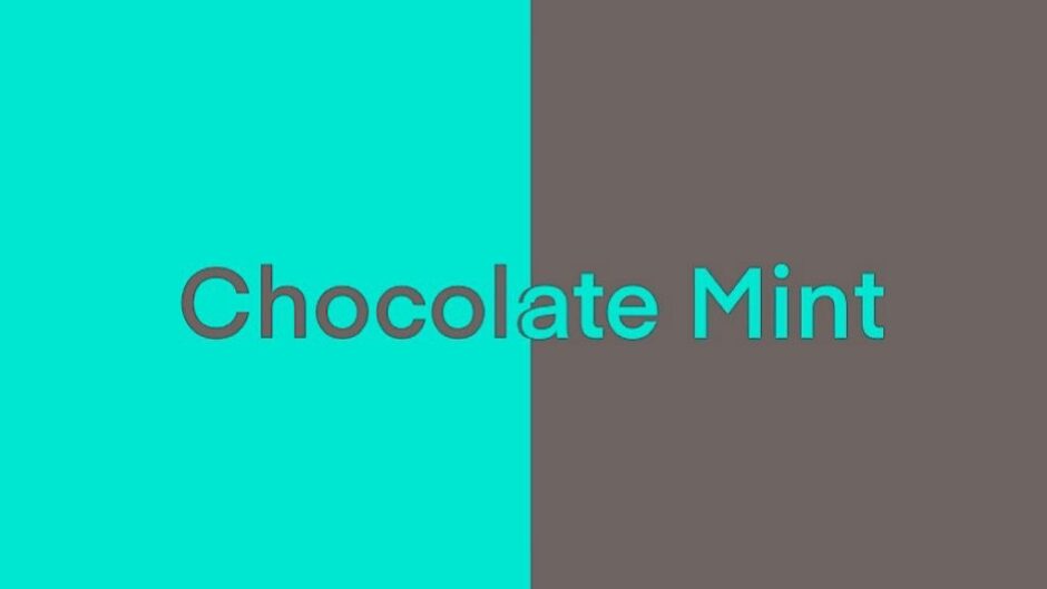 Chocolate mint color